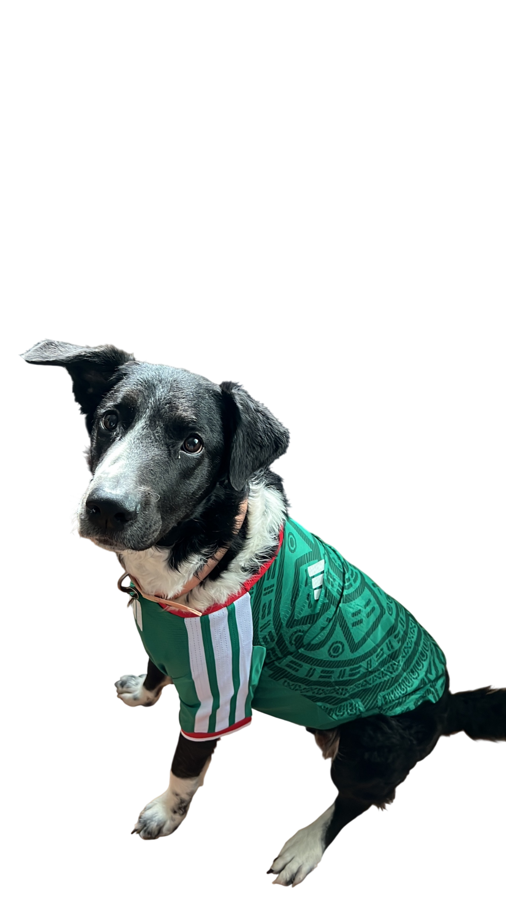 México 2026 Local Version Mascota