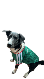 México 2026 Local Version Mascota