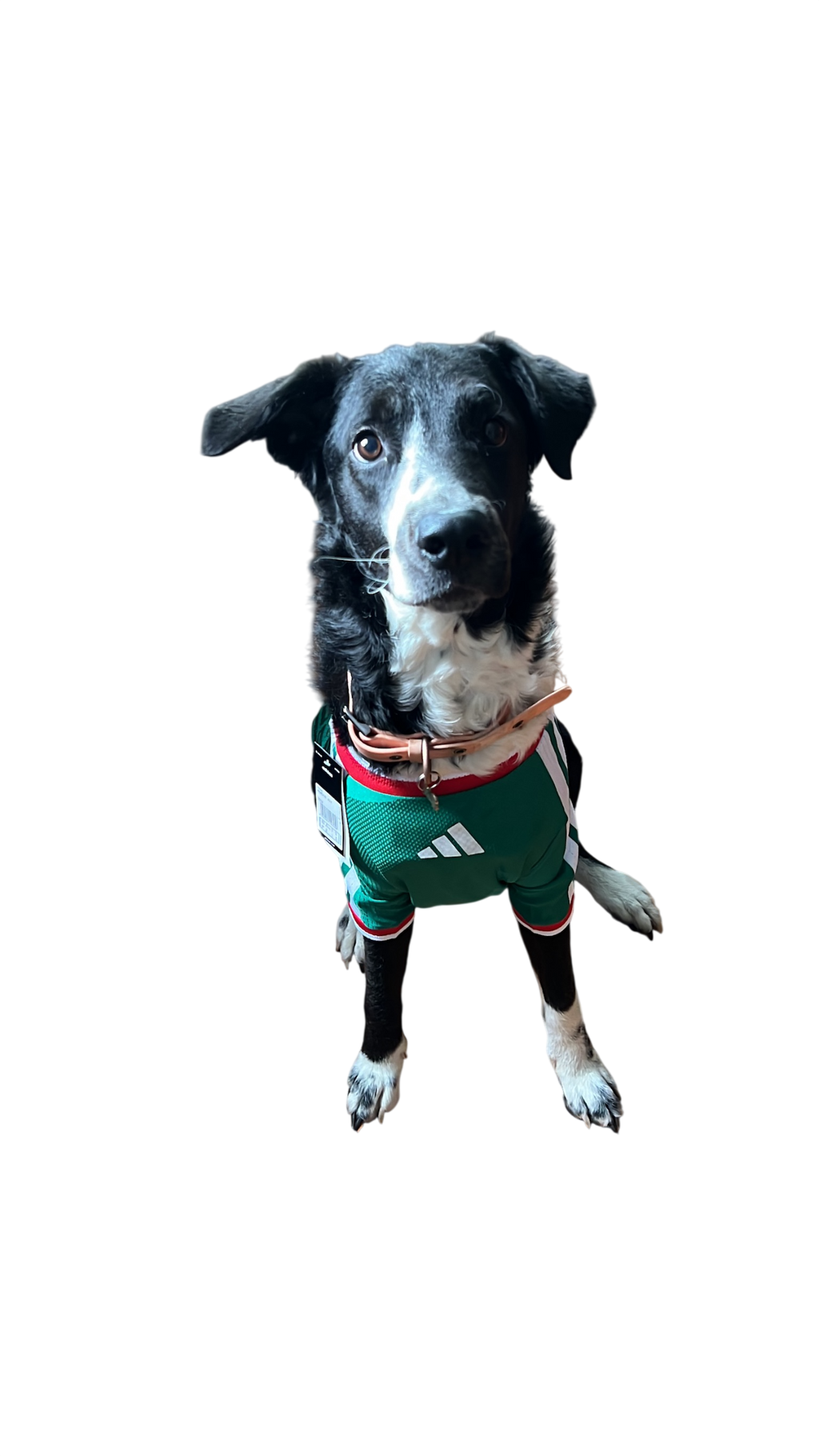México 2026 Local Version Mascota