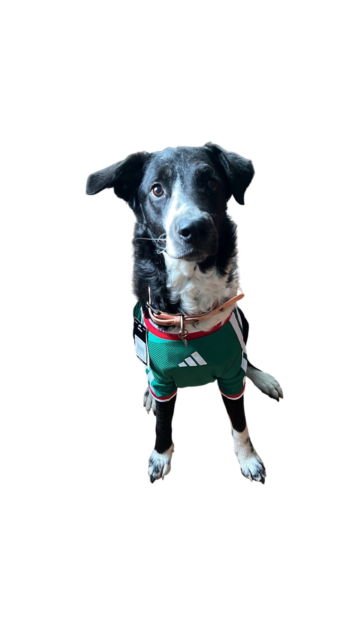 México 2026 Local Version Mascota