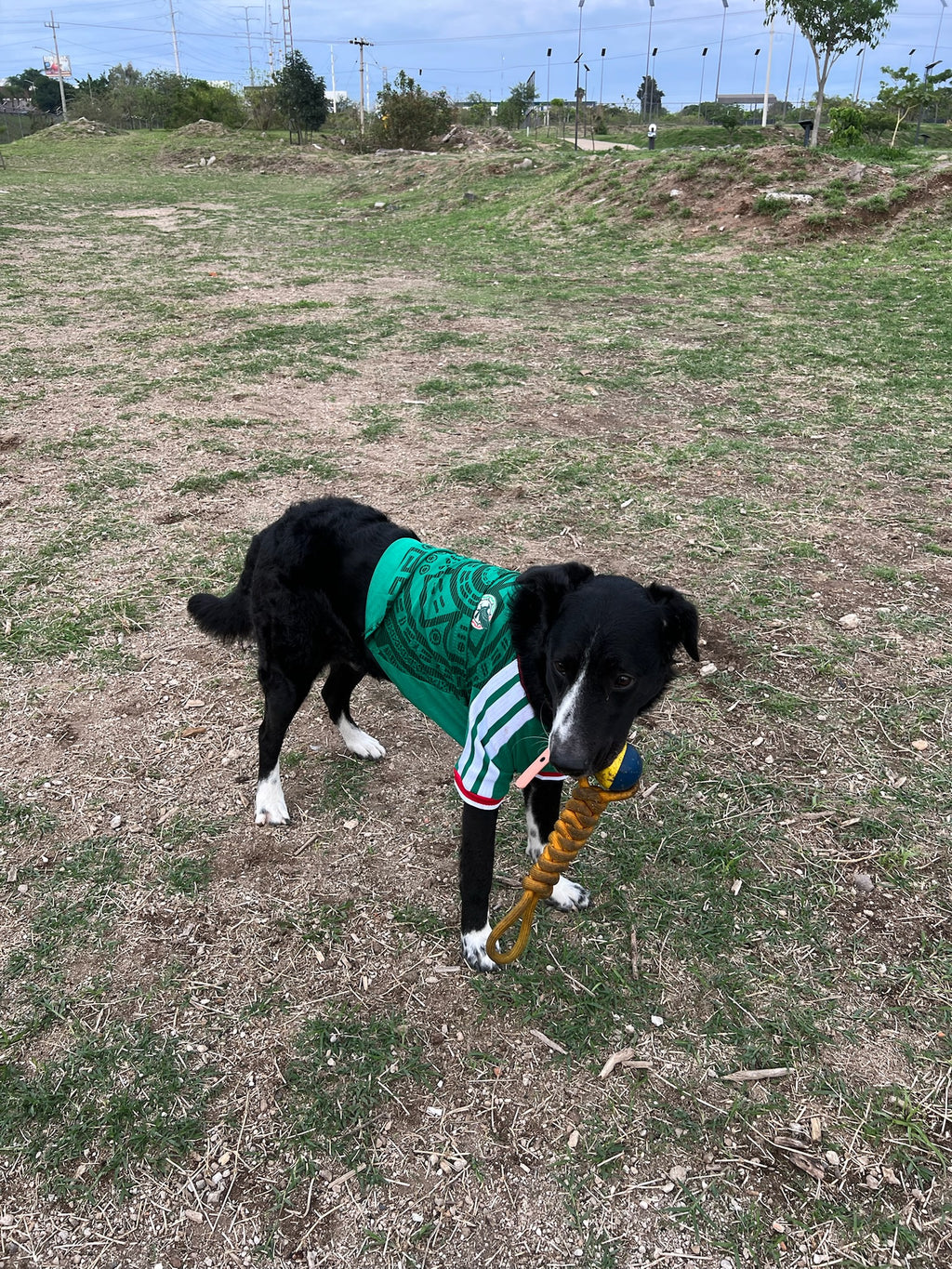 México 2026 Local Version Mascota