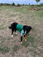 México 2026 Local Version Mascota