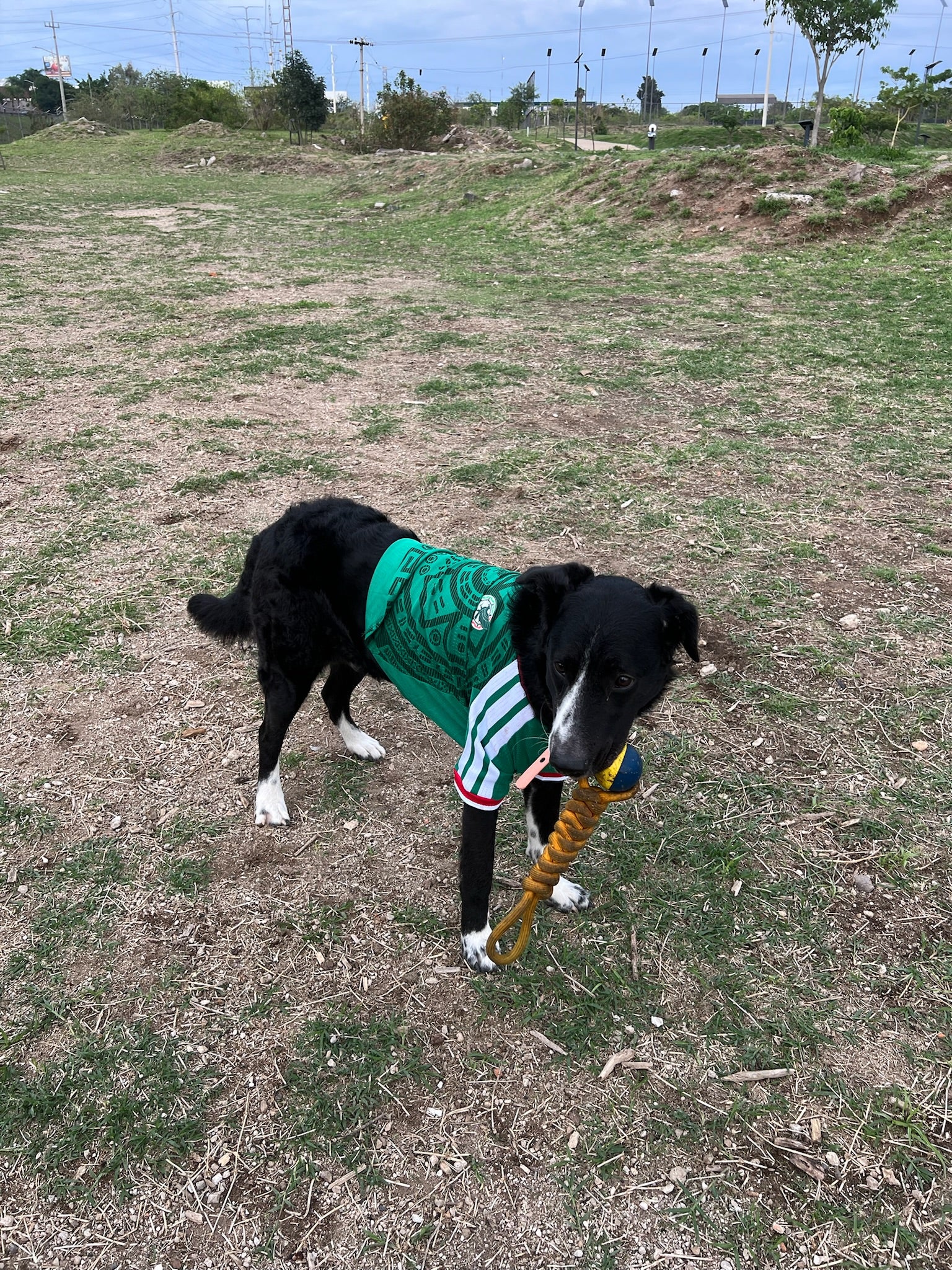 México 2026 Local Version Mascota