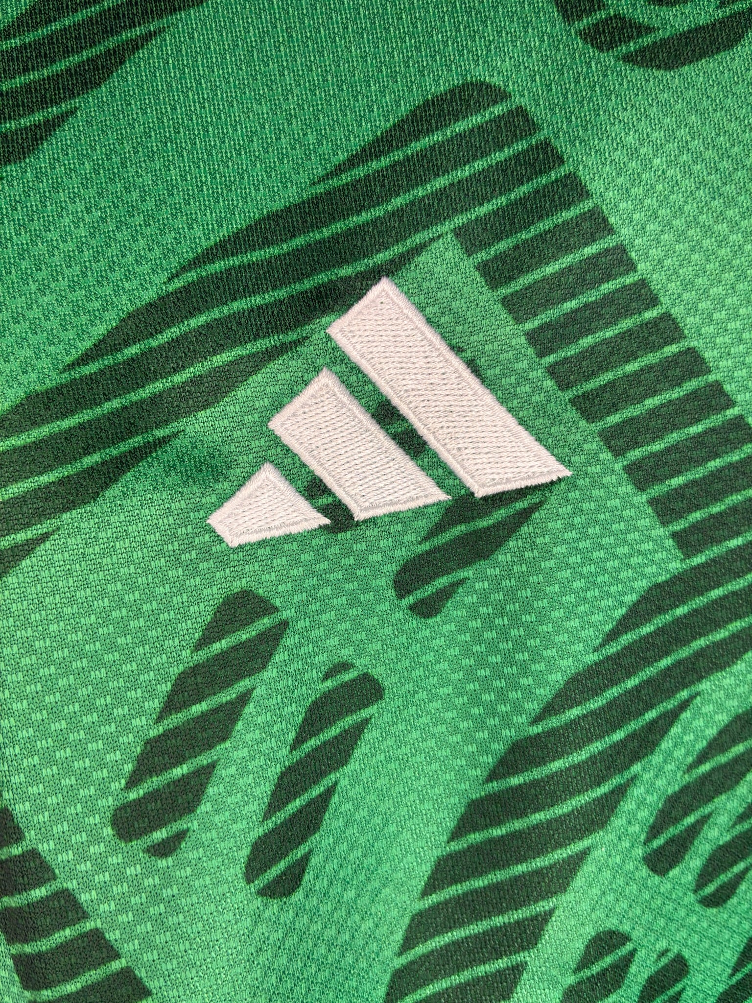 México 2026 DAMA Local Versión Aficionado