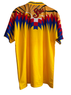 América Local 1994-1995