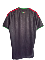 México 2026 Alternativa Versión Jugador