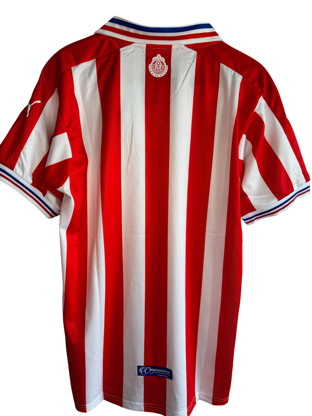 Chivas 110 Aniversario