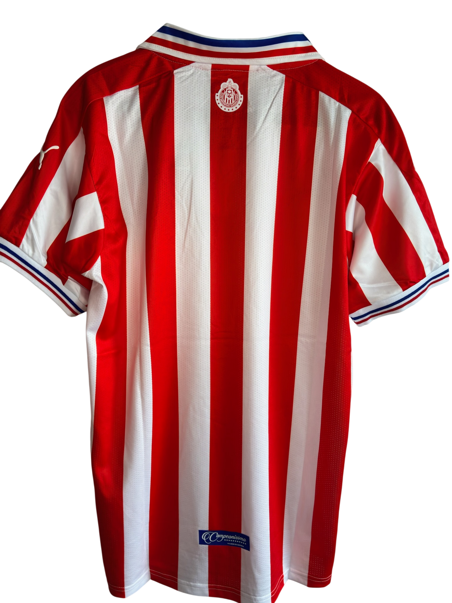 Chivas 110 Aniversario