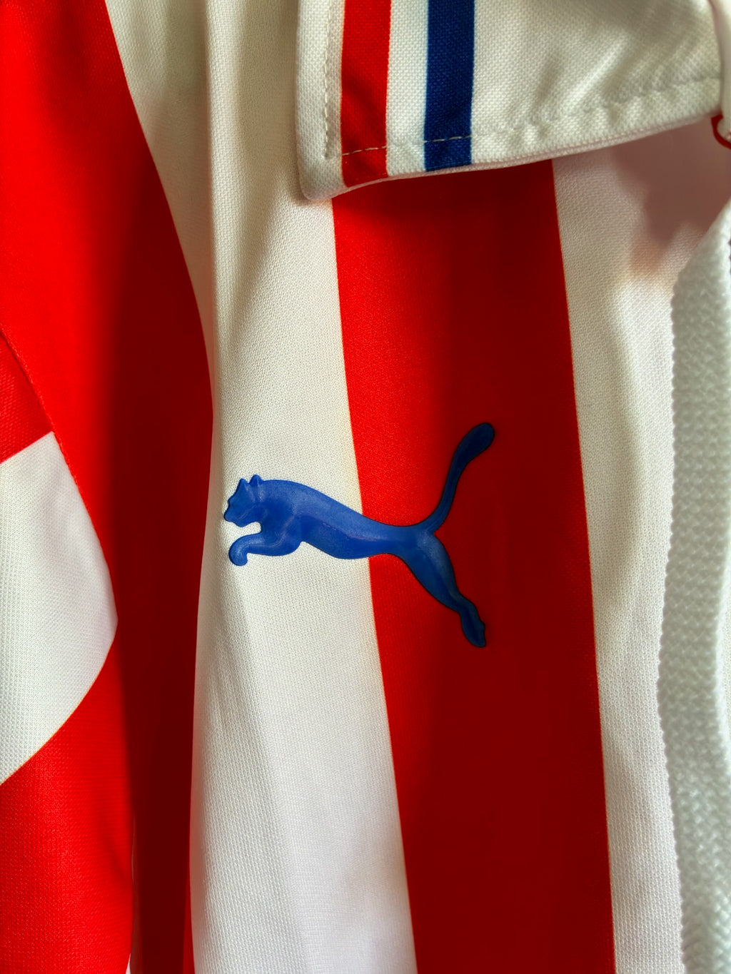 Chivas 110 Aniversario