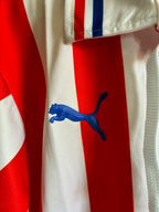 Chivas 110 Aniversario