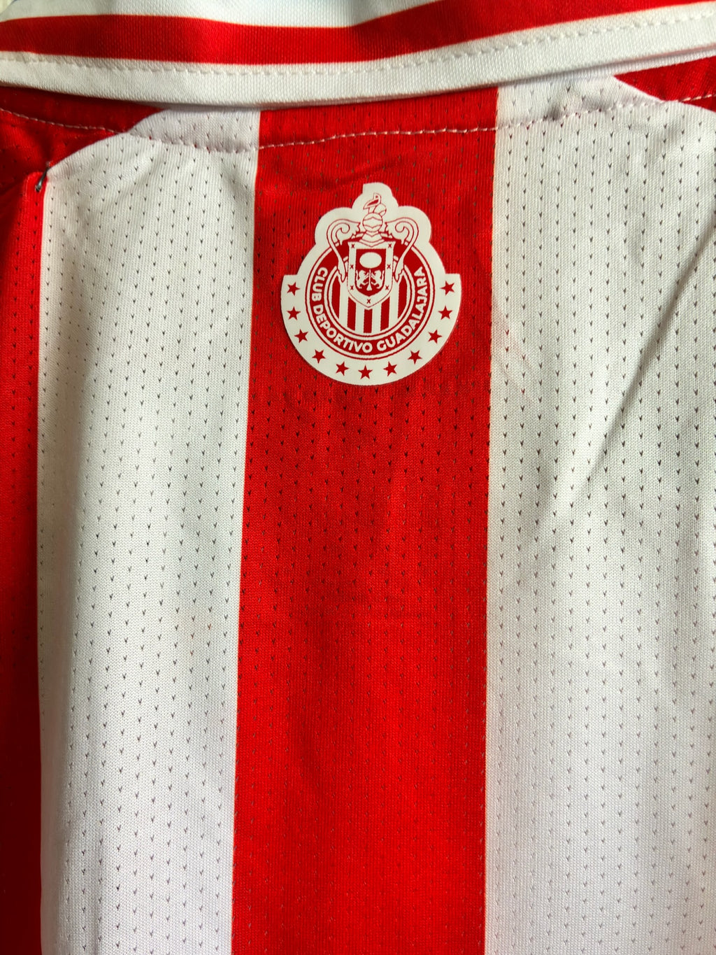 Chivas 110 Aniversario