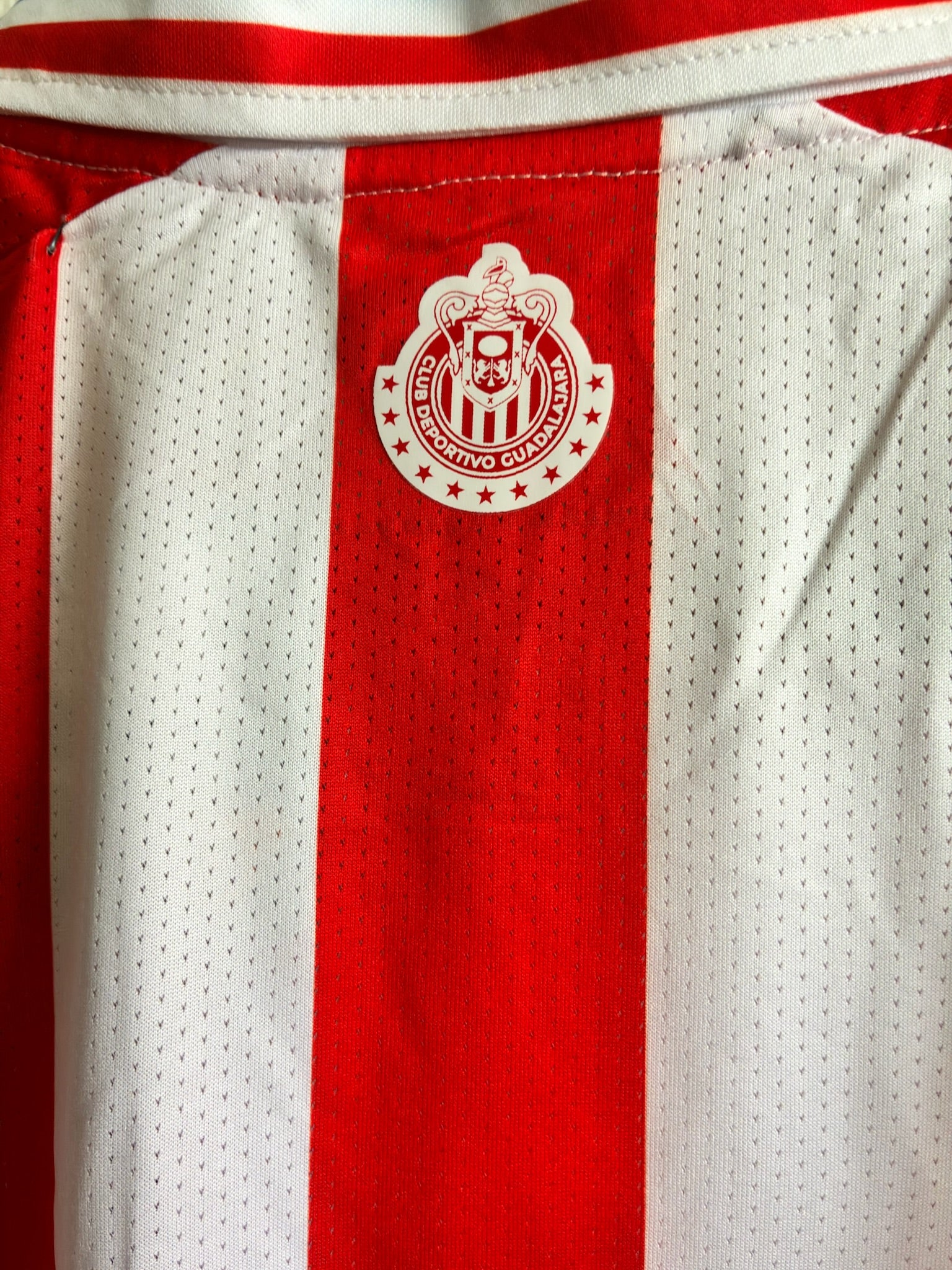 Chivas 110 Aniversario