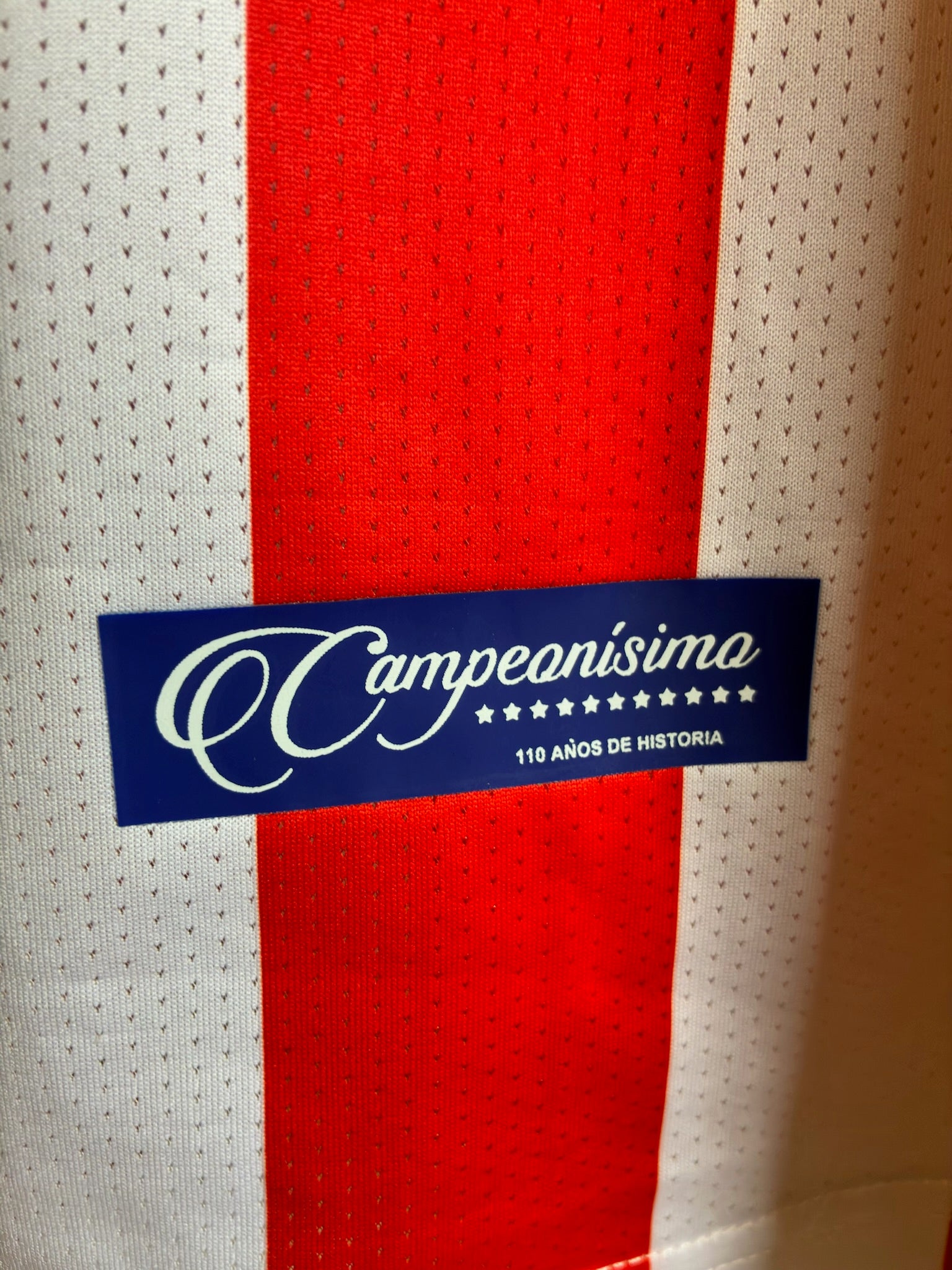 Chivas 110 Aniversario