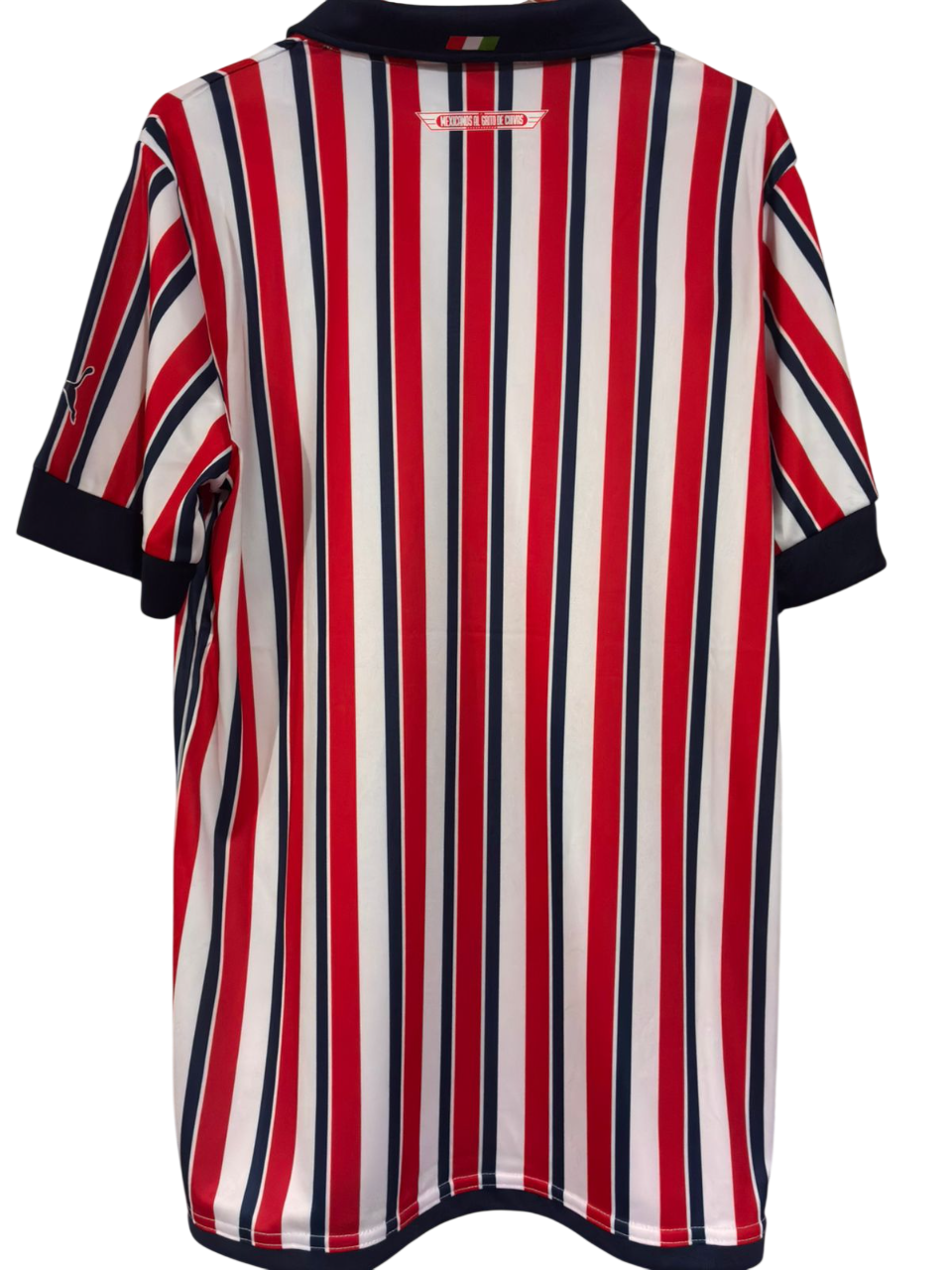 Chivas Mundial de clubes 2018