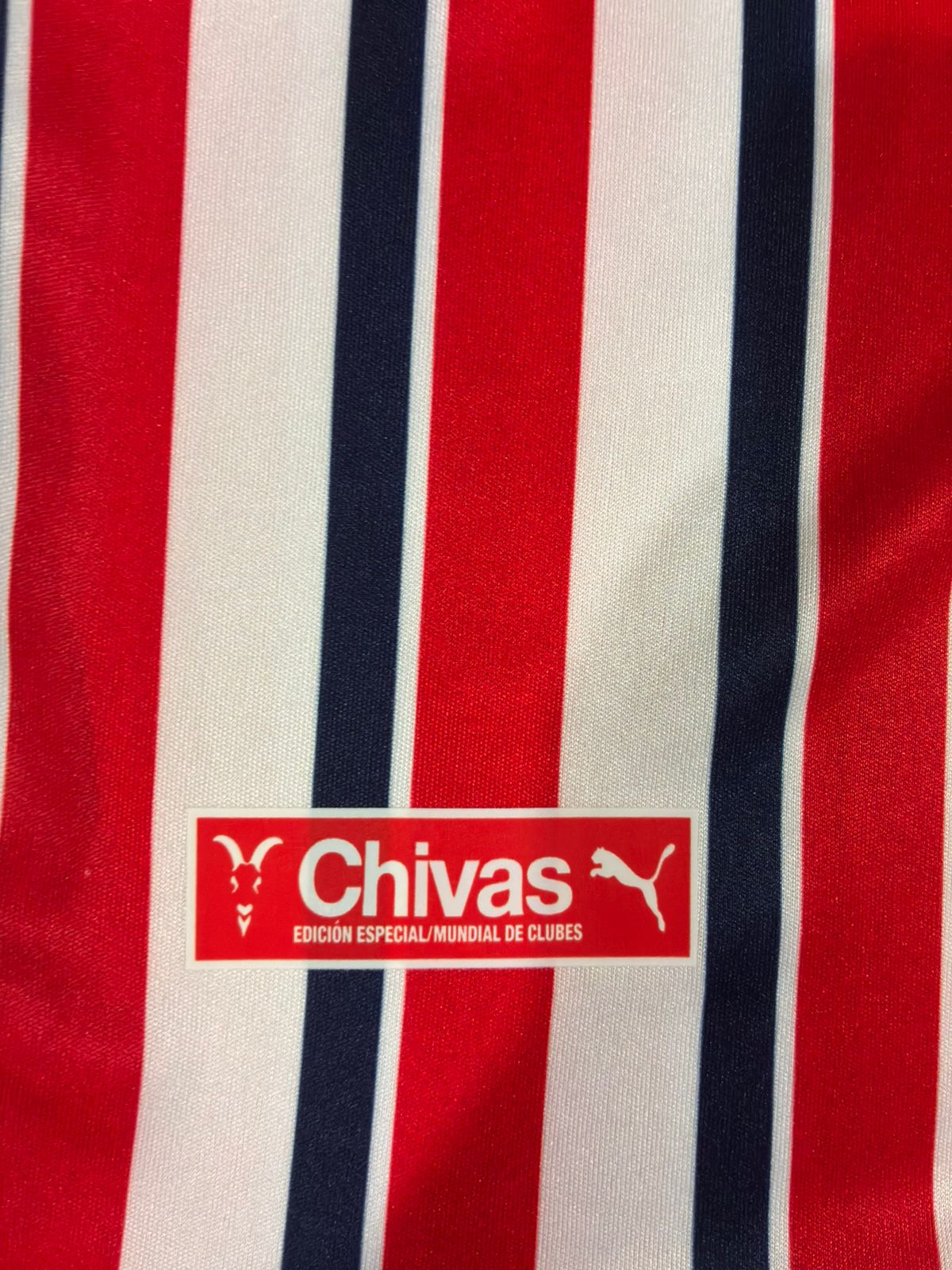 Chivas Mundial de clubes 2018