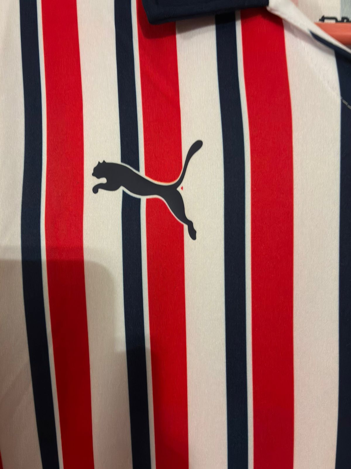 Chivas Mundial de clubes 2018